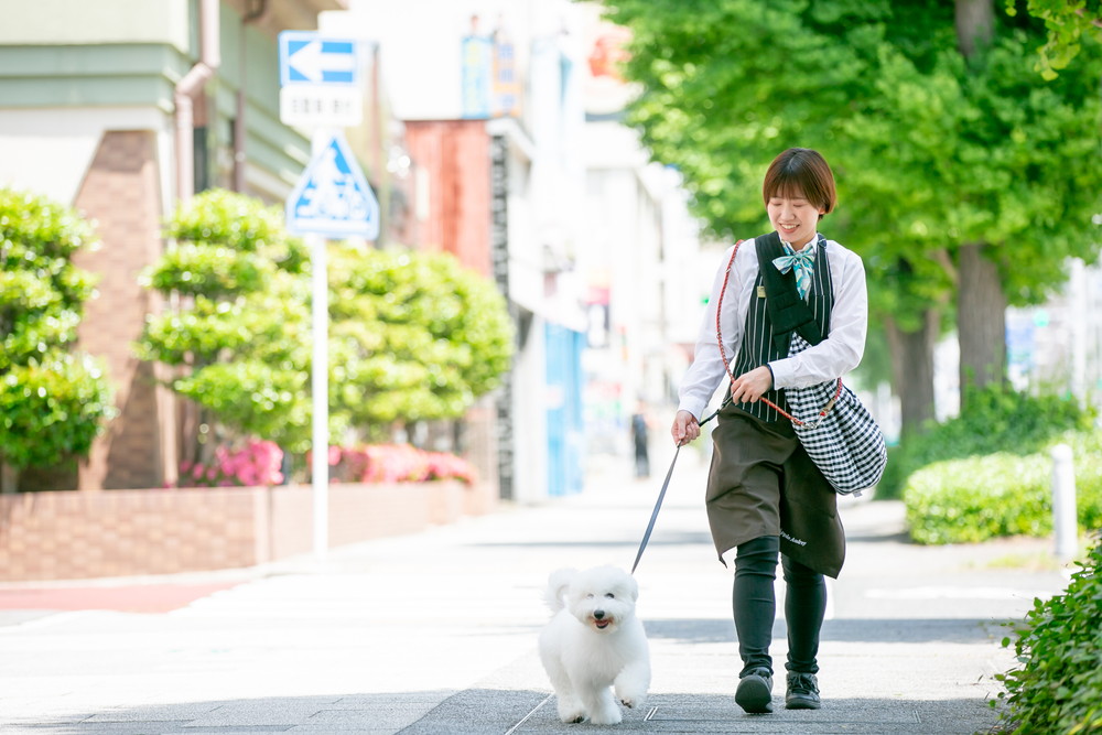 お散歩