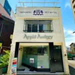 Apple Audrey
